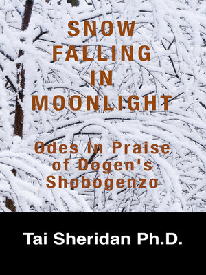 cover image of Snow Falling in Moonlight